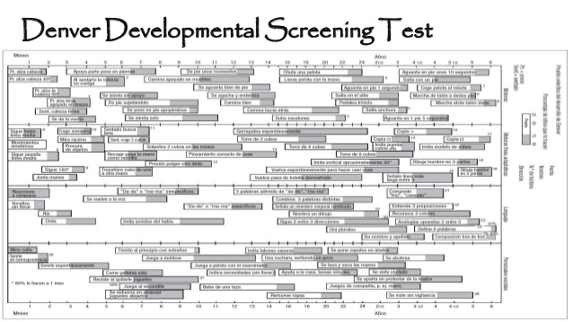 denver developmental screening tool pdf